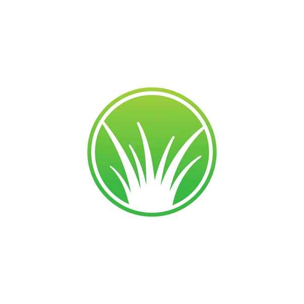 Verde Icono Hierba Logo Diseño Vectorial — Archivo Imágenes Vectoriales