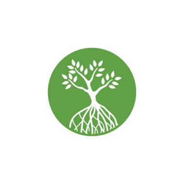 Mangrove ağaç simgesi logo vektör tasarımı