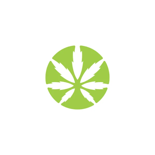 Cannabis Marijuana Folha Logotipo Vetor Design —  Vetores de Stock