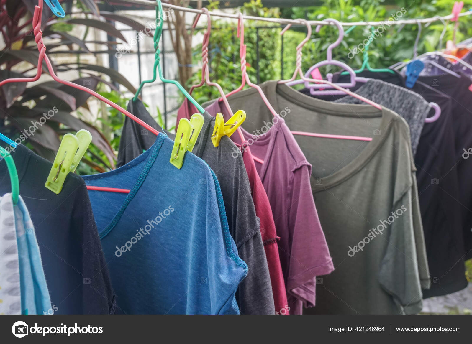 Enfoque Selectivo Colgar Camisetas Mojadas Perchas Ropa Con Clavijas Colores Foto de stock 421246964 Jummie