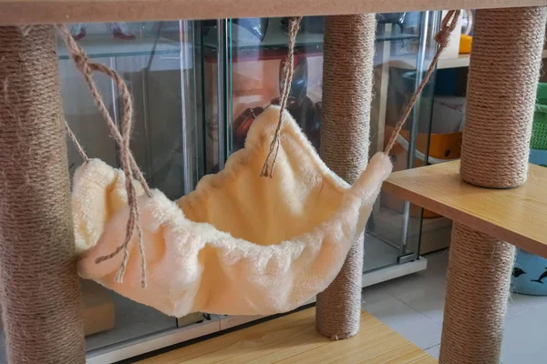 Oynamak ve uyumak için apartman dairesinde pofuduk kedi hamağı