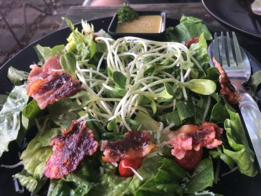 Organik restoranda taze yeşil salata, kıtır pastırma ve wasabi sosu.