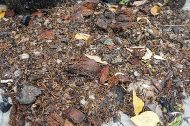 Topraktaki kirli ve ıslak toprağı tarıma açmak için seçici bir odak noktası