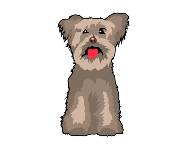 Yorkshire Terrier Puppy Vector Illustration. Chien isolé — Image vectorielle