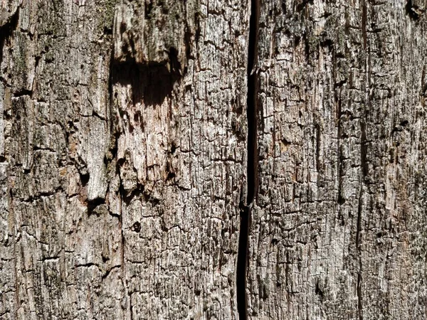 Vieux panneaux de bois grunge utilisés comme arrière-plan. — Photo