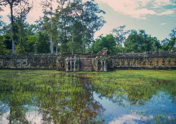 Kamboçya Fillerinin Terası