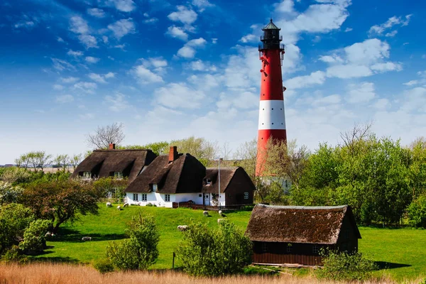 Deniz feneri, koyun ve sazdan çatıları olan Frizya maviliği