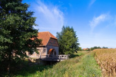 Kuzey Almanya 'da bir mısır tarlasında eski güzel su değirmeni