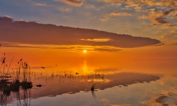Фантастичні Хмарні Утворення Відображеннями Воді Сході Сонця Озері Тваринами Береговою — стокове фото