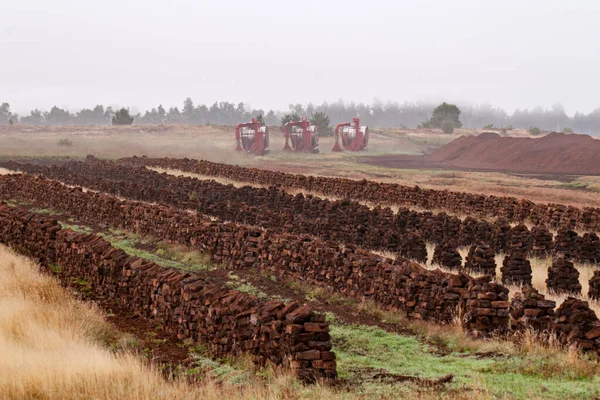 Kuzey Alman bataklığında turba çıkarma.