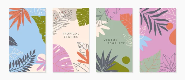 Insta Story Template Tropical Palm Leaves Modern Vector Summer Layouts — 스톡 벡터