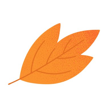 Sonbahar yaprağı vektörü. İzole edilmiş mevsimsel element. Parmak izleri, el ilanları, el ilanları, afişler, kapaklar için sonbahar bitkisi çizimi..