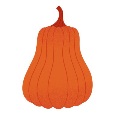 Balkabağı vektörü izole edildi. Elle çizilmiş Cadılar Bayramı, Şükran Günü, hasat festivali resimleri baskılar, el ilanları, afişler, kapaklar, markalaşma tasarımı, klişe.