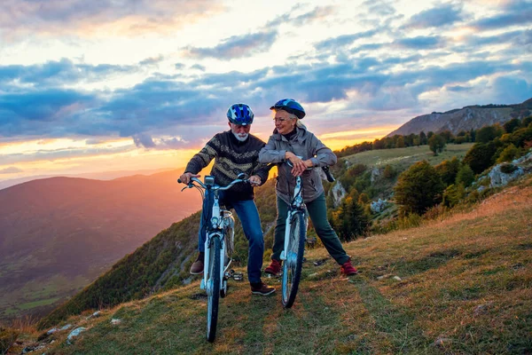 Active Senior Couple Riding Bikes In Park