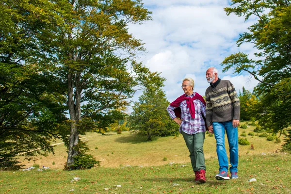 Üst düzey bir çift güzel bir doğayla yürüyor. — Stok fotoğraf