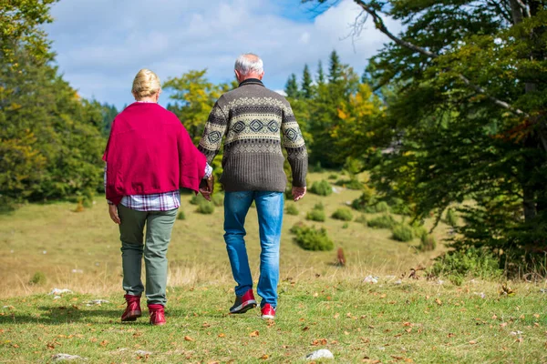 Dos portrait Couple sénior marchant dans une belle nature. — Photo