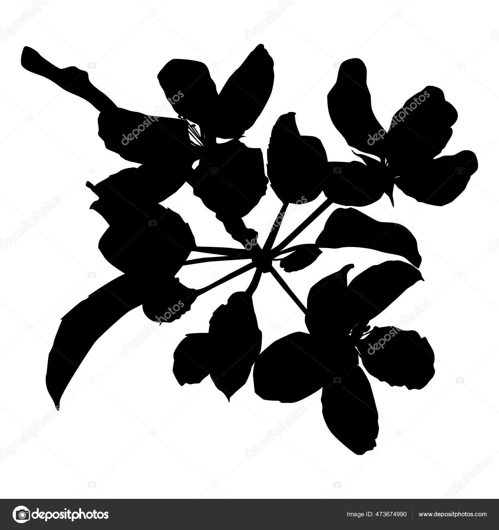 花のシルエットでアップルの木の枝 ベクトルイラスト リンゴの木の小枝 ストックベクター C Svitlana Varfolomieieva Gmail Com 花のシルエットでアップルの木の枝 ベクトルイラスト リンゴの木の小枝 ストックベクター C Svitlana Varfolomieieva Gmail Com