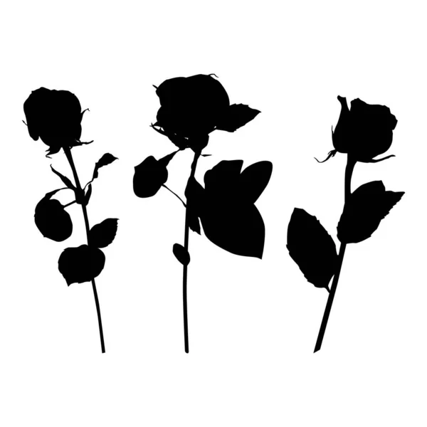 Conjunto de silueta negra flor rosa, ilustración vectorial. Flor de jardín floreciente — Archivo Imágenes Vectoriales