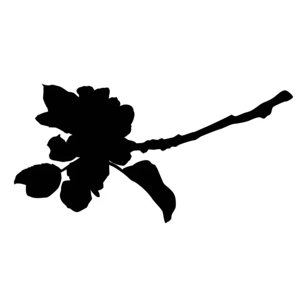 Branche de pommier en silhouette fleurie, illustration vectorielle. Brindille de pommier. — Image vectorielle