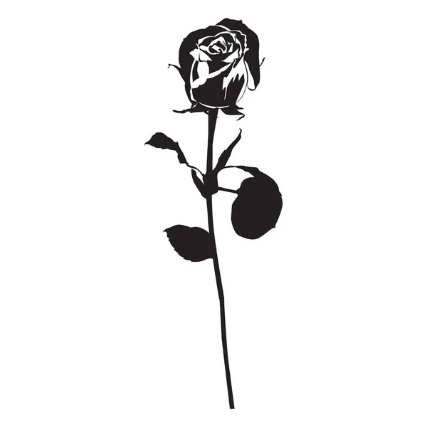 Rose flower black silhouette, vector illustration. Blooming garden flower — Stock Vector