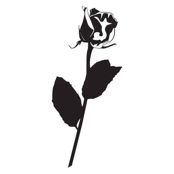 Rosenblüte schwarze Silhouette, Vektorillustration. Blühende Gartenblume — Stockvektor