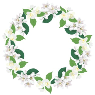 Çiçekli yasemin ve elma ağacı çiçekleri çerçeve etrafında dönüyor. Zarif bahar çiçeği, vektör illüstrasyonu..