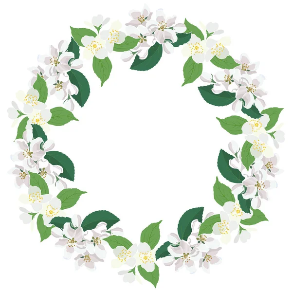 Çiçekli yasemin ve elma ağacı çiçekleri çerçeve etrafında dönüyor. Zarif bahar çiçeği, vektör illüstrasyonu..