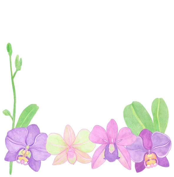 Acquerello Cornice Bordo Orchidea Elementi Floreali Con Fiori Foglie Botanico — Foto Stock