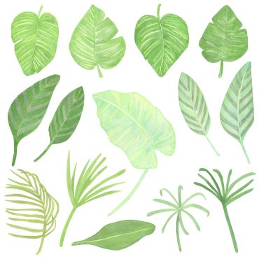 Suluboya Çizgili yeşil tropikal yaprakları ayarla