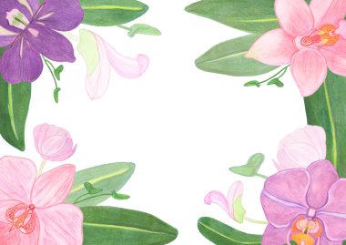 Çiçek ve yapraklı suluboya çerçeve kenar orkide çiçekleri. Davetiye kartı ve dekor için botanik