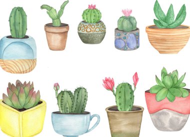 Suluboya kaktüs ve boho saksıları, el çizimi çiçek çizimleri.