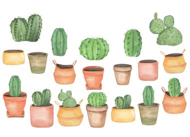 Suluboya ev bitkileri boho saksılarında kaktüsler, el cicekleri