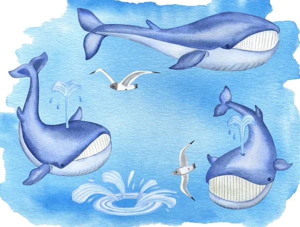 Watercolor Blue Whales and seagull birds on blue background — Stock Photo, Image