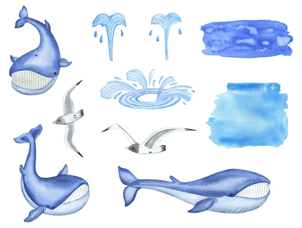 Aquarela Baleias Azuis, aves gaivotas e gotas de água isoladas sobre fundo branco — Fotografia de Stock