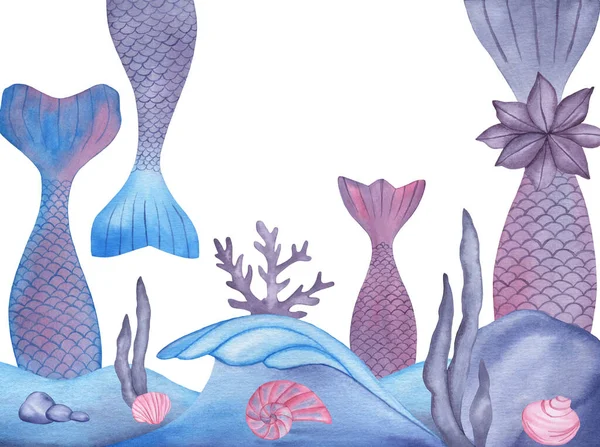 Акварельные хвосты русалок, водоросли, кораллы, ракушки композиция на белом фоне — стоковое фото