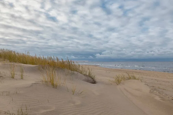 Se inclina en el viento en una línea de costa de playa en el mar Báltico — Foto de Stock
