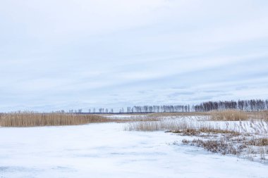 Gelişmiş bir bataklık gölü, bataklık çayırları ve bataklıkları olan kış manzarası harika kümülüs bulutları, Sedas fundalığı, Letonya