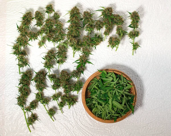 Geschnittene Blütenstände Von Marihuana Mit Blättern Liegen Auf Weißem Hintergrund — Stockfoto