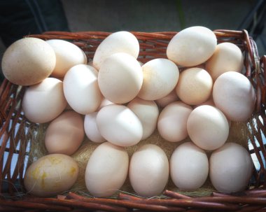 Ev yapımı çiftlik yumurtaları hasır sepette yatıyor.
