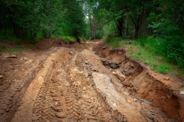 Dağ yolu derin rutubetli ve çamurlu. Arabalar ve yeşil ağaçlar var..