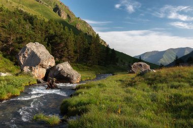 Teberdinsky doğa koruma alanında bir dağın arka planına karşı yeşil bir çayırın yanındaki yüksek dağlık saf nehir.