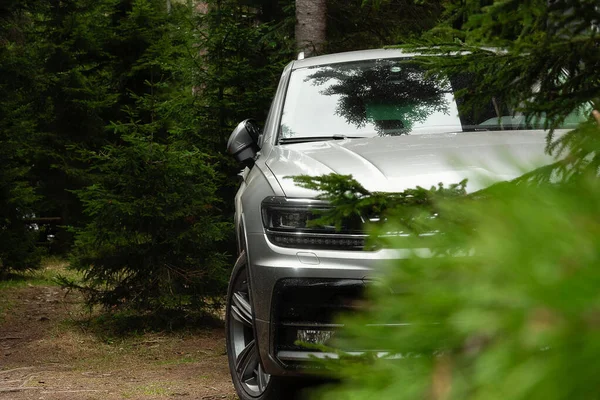 Modern Suv Class Car Green Coniferous Forest — Stock Photo, Image