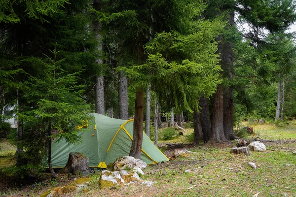 Зеленая Туристическая Палатка Стоит Деревом Хвойном Лесу — стоковое фото