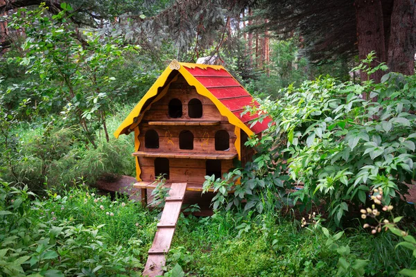 Drewniany Dom Dla Bezdomnych Kotów Stoi Parku Pośród Drzew — Zdjęcie stockowe