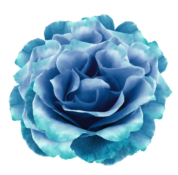 Watercolor turquoise peony  flower  on white isolated background with clipping path. Closeup. For design. Nature.