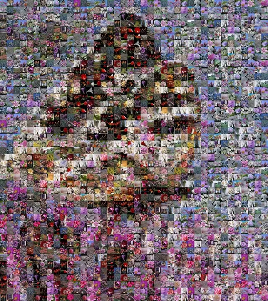 The image of a butterfly, made up of square elements of a small photos of flowers and butterflies - color mosaic, moth — Stock Image The image of a butterfly, made up of square elements of a small photos of flowers and butterflies - color mosaic, moth Stock Image