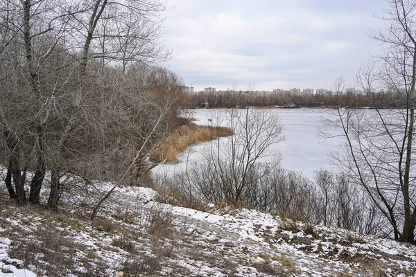 Paisaje invernal con árboles y un lago cubierto de hielo — Foto de Stock