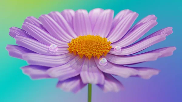 Kwiat i krople deszczu na gradientowym tle natury, makro, renderowanie 3D — Zdjęcie stockowe