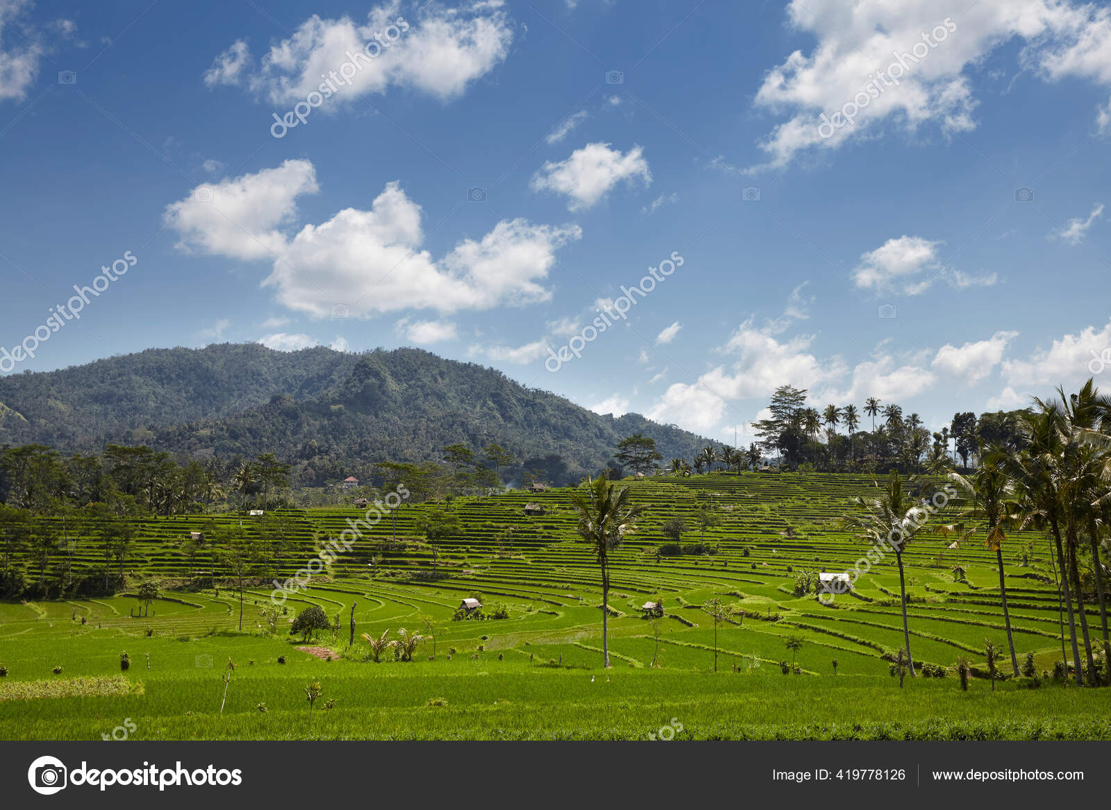 Rinjani Pictures Rinjani Stock Photos Images Depositphotos Rinjani Pictures Rinjani Stock Photos Images Depositphotos