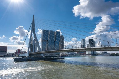 Rotterdam 'daki Erasmus Köprüsü Nieuve-Maas Nehri, Rotterdam, Hollanda.